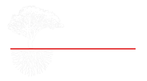 Paymentree Inc.